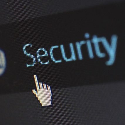 wordpress security